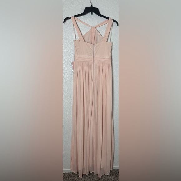 NWT Birdy Grey Kiko Dress in Mesh Pale Blush - Picture 6 of 6